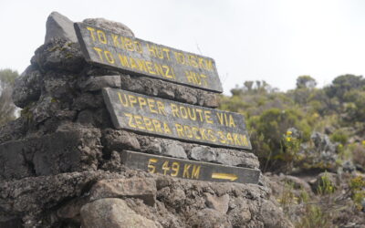 Kilimanjaro Day Three; Horombo Hut – May 10