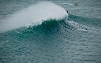 Catch the wave!