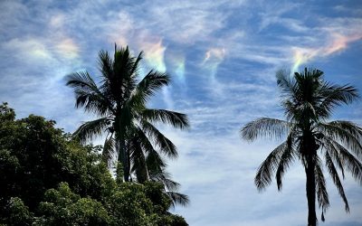 Weird skies, Monkey Island, and a Shaman